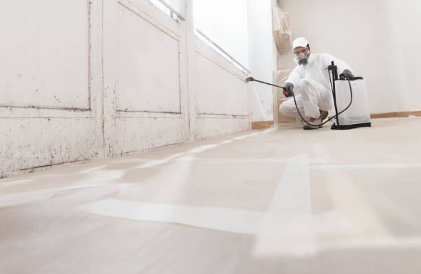 24/7 Emergency Mold Remediation experts in Wernersville, PA